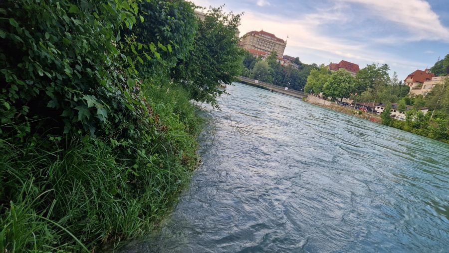 Die Aare führt aktuell viel Wasser.