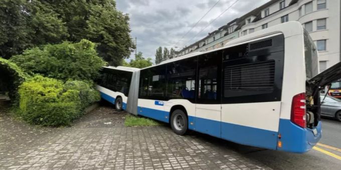 Der Linienbus krachte in einen Park. polizei-schweiz