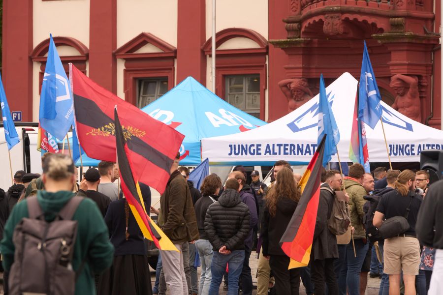 Denn der Messer-Angriff helfe der Partei, weil mit einem Schlag wieder eines ihrer wichtigsten Themen im Fokus der Aufmerksam stehe.