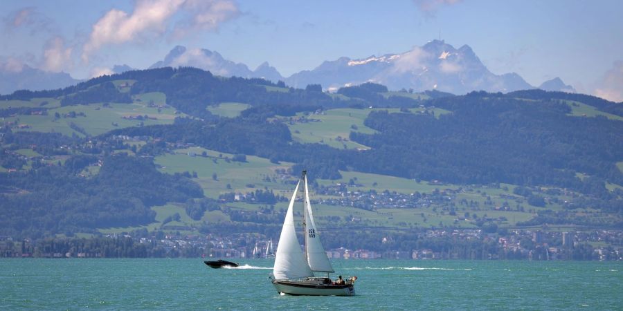 Im Bodensee sind zwei Leichen entdeckt worden.