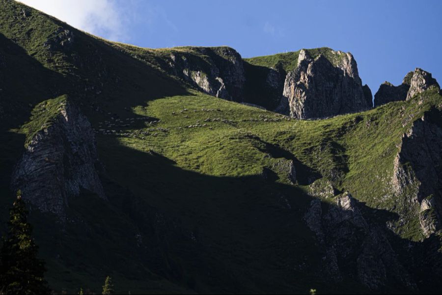 Der Angriff ereignete sich in der Region Flumserberg SG.