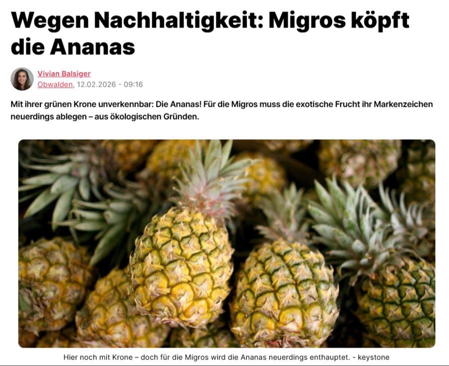 Von der Themenfindung bis zur Umsetzung alles selbst gemacht – dieser Artikel von Vivian wurde später auch von anderen Medien aufgegriffen.