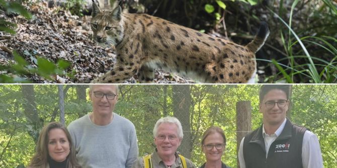 Tierpark Bern Artenschutz
