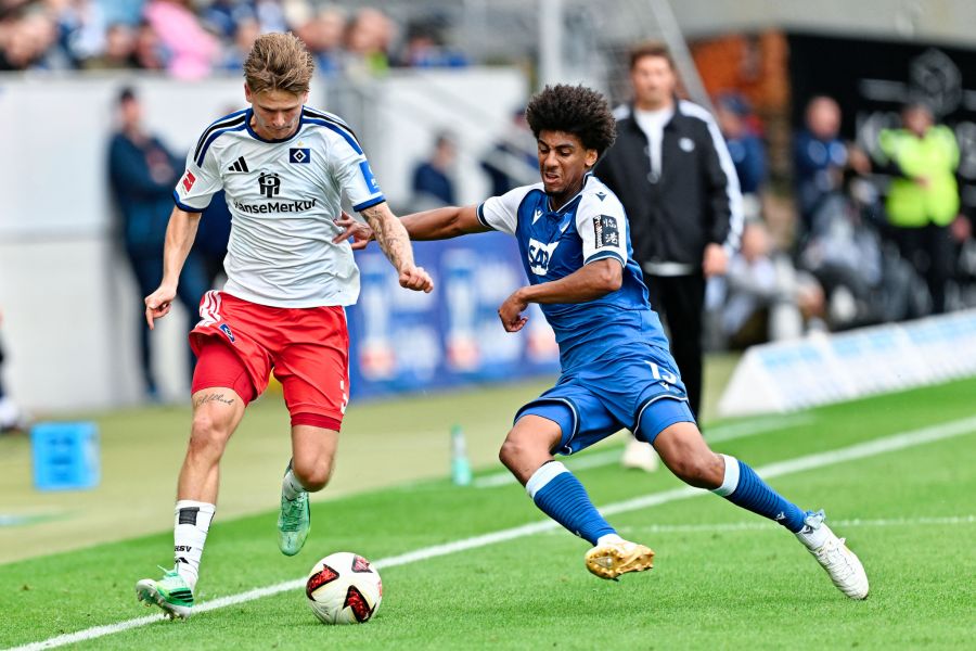 Hoffenheim HSV Bundesliga