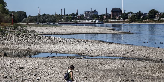 Rhein