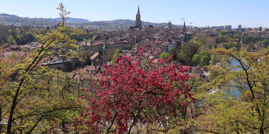 Bern