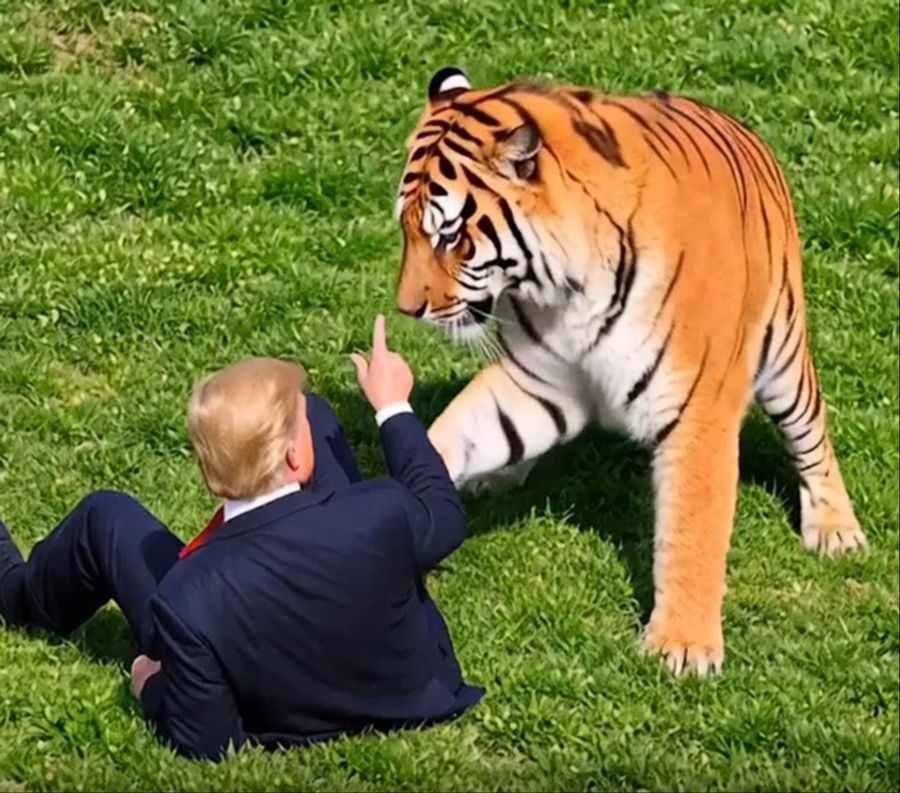 Nach dem tödlichen Vorfall postet US-Präsident Donald Trump ein KI-Video mit einem Tiger.