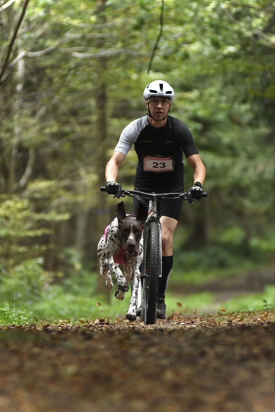 Mit 42 Kilometern pro Stunde über die Waldwege: Familie Bär ist sportlich unterwegs.