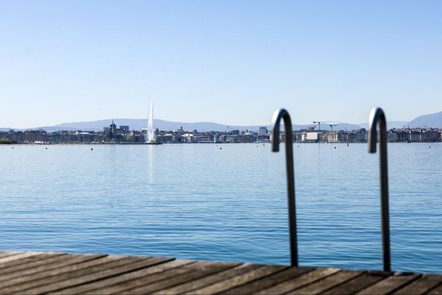 Warme Temperaturen unterstützen die Ausbreitung der Qualle in den Gewässern. (Genfersee)