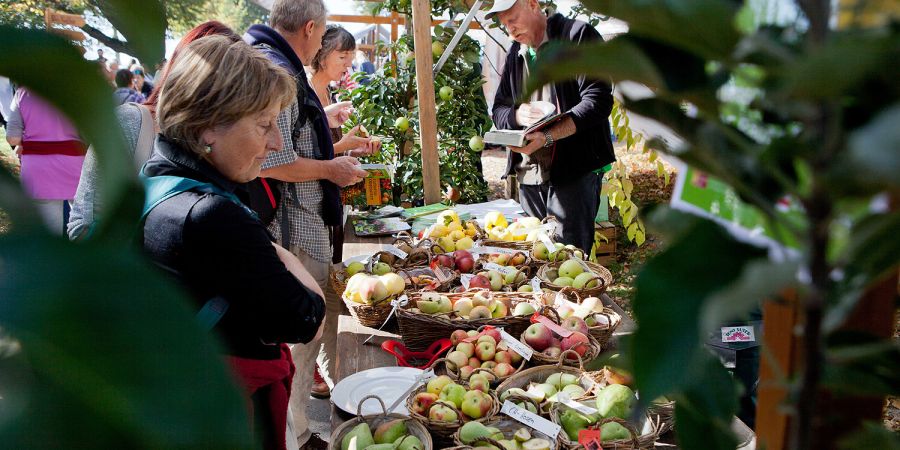 Rares geniessen auf dem ProSpecieRara-Reutenmarkt