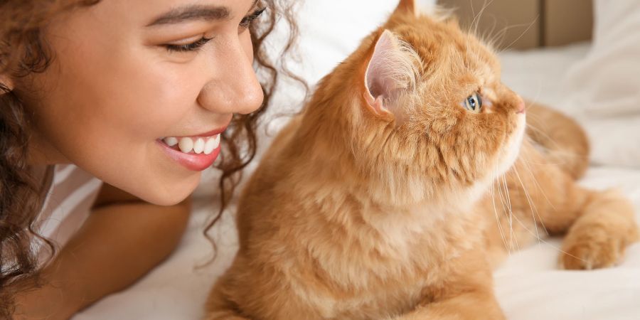 Katzen reagieren eher auf den Klang der Stimme ihrer Menschen, um sie zu identifizieren.