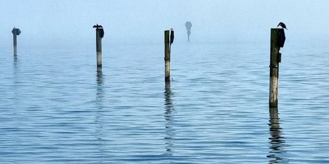 Bodensee Regatta