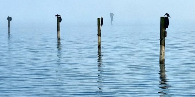 Am Bodensee wurden die zwei vermissten Segler tot geborgen. (Archivbild) Bodensee Regatta