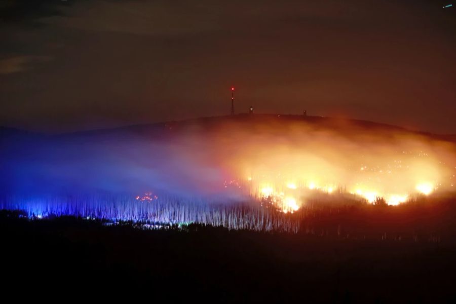 Harz Waldbrand