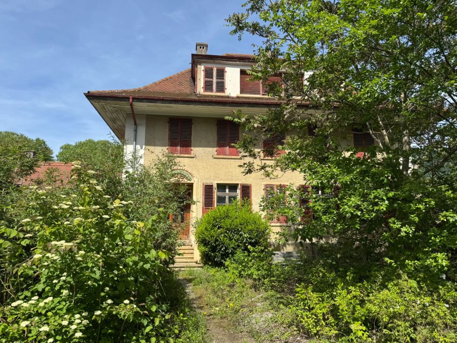 Rund um das Gebäude ist die Natur dabei, sich wieder neu auszubreiten.