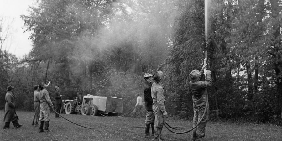 1951 werden im Kanton Thurgau neben Sprühflugzeugen auch Motorspritzen zur Bekämpfung der Maikäferplage mit dem Spritzmittel Gesarol eingesetzt. (Archivbild)
