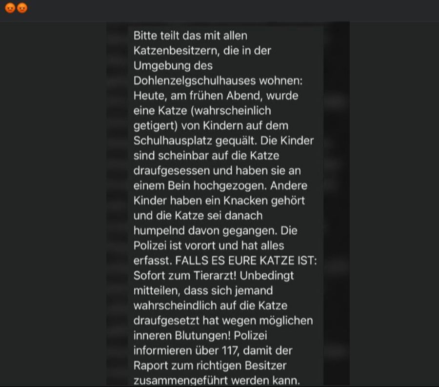 Facebook Windisch