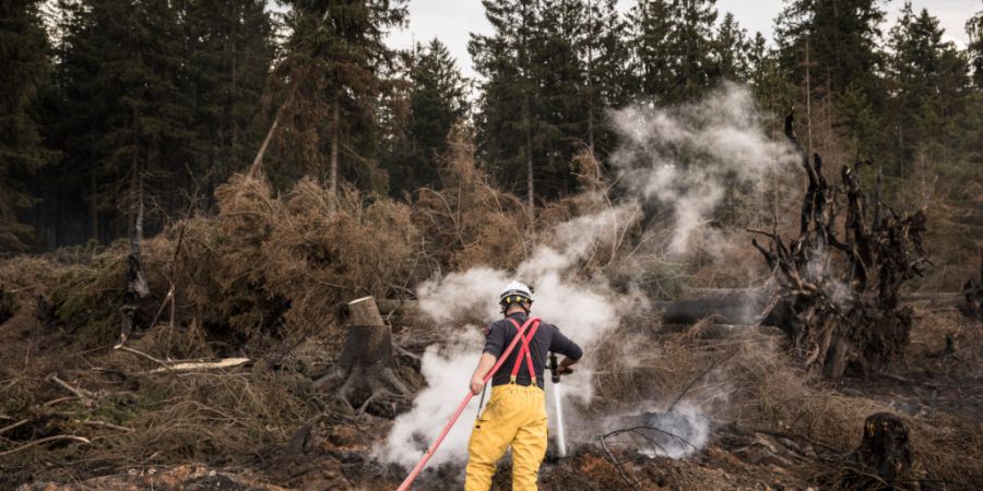 ARCHIV - Ein Feuerwehrmann löscht einen Glutherd, während bei den Waldbränden Rauch aus der verkohlten Landschaft des Hohen Venn aufsteigt. Foto: Valentin Bianchi/AP/dpa