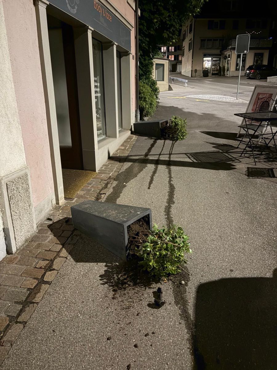 Blumentöpfe Stäfa