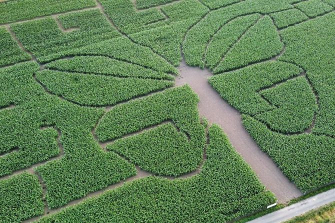 Labyrinth