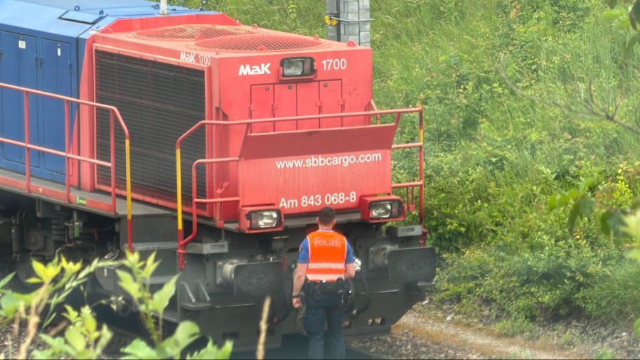 Gemäss ersten Erkenntnissen starb ein SBB-Mitarbeiter bei einem Unfall mit einem Güterzug.