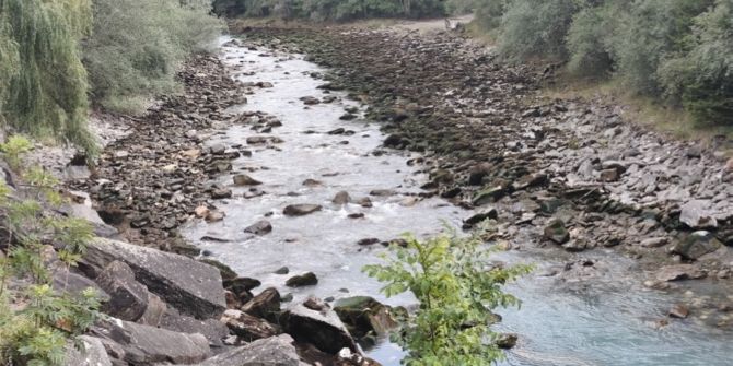 Fischsterben Graubünden