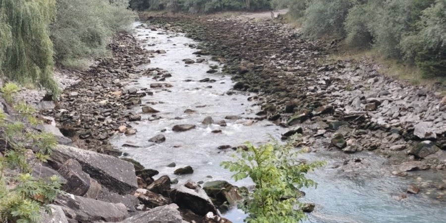 Fischsterben Graubünden