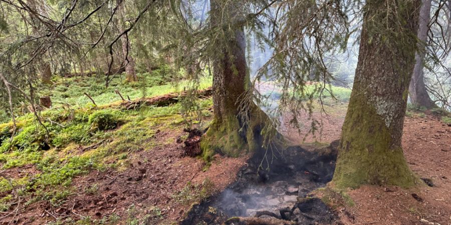 Der Flächenbrand im Wald im Gebiet Schwarzenegg in Innerthal SZ entstand mutmasslich wegen einem Blitzschlag.