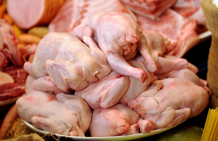 Die krankmachenden Keime sind in rohen Lebensmitteln wie Fleisch, Geflügel, Eiern, Fisch und Meeresfrüchten enthalten.