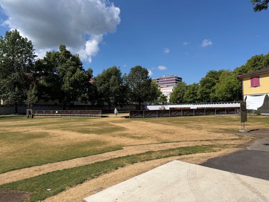 Der Ruheplatz für Frauen im Berner Marzilibad.