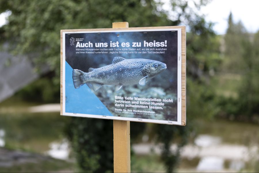 Fischsterben