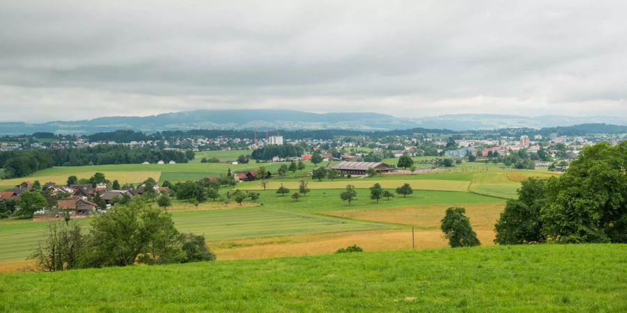 Wetzikon ZH
