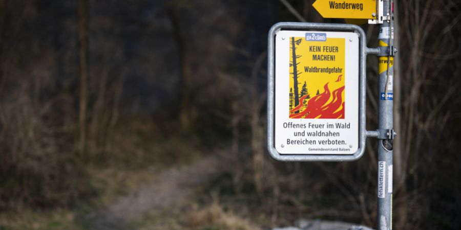 Der Kanton Thurgau verbietet das Entfachen von Feuer im Wald oder in der Nähe von Wäldern. (Archivbild)
