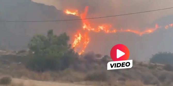Waldbrand