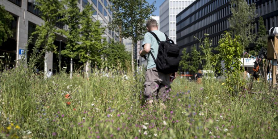 Blumen statt Asphalt bringen Abkühlung auf dem Europaplatz.
