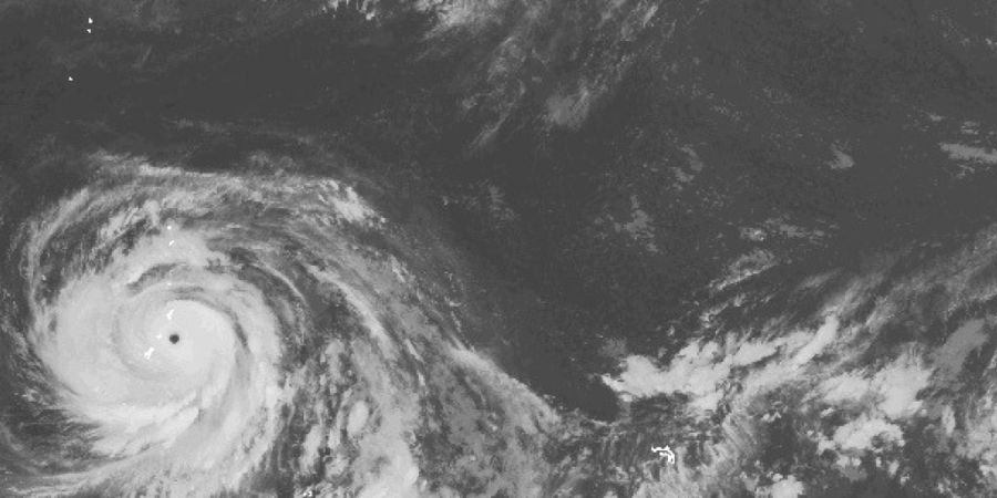 HANDOUT - Dieses von der NOAA veröffentlichte via AP zur Verfügung gestellte Satellitenbild zeigt den Taifun «Bavi». Foto: Uncredited/NOAA/AP/dpa - ACHTUNG: Nur zur redaktionellen V...
