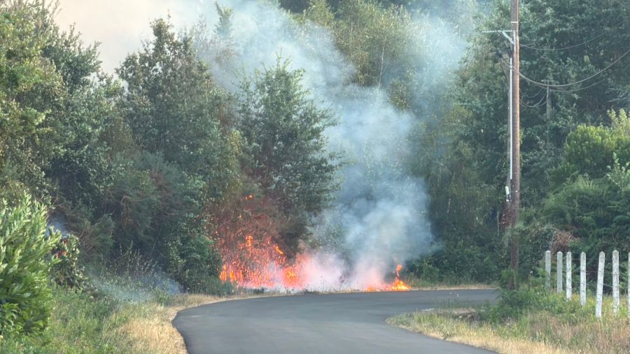 Le Mans Waldbrand