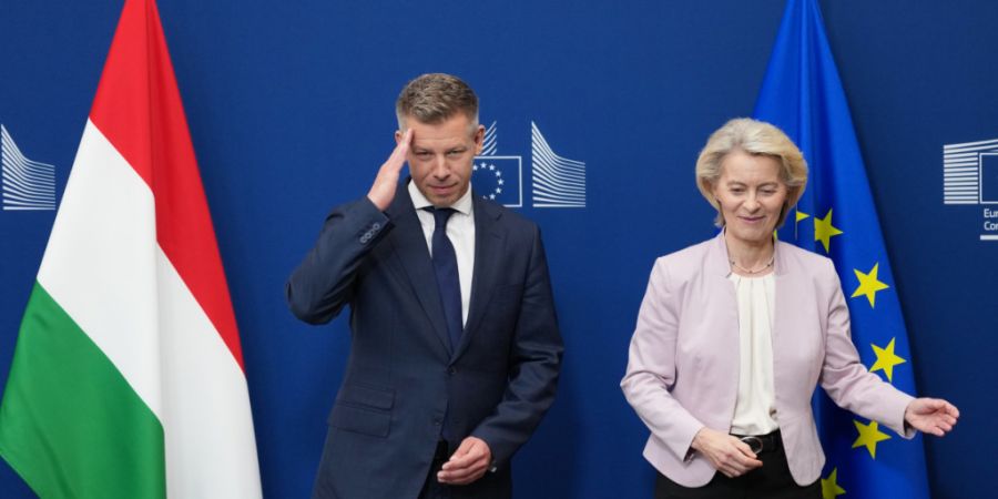 ARCHIV - Die Präsidentin der Europäischen Kommission, Ursula von der Leyen, begrüßt den ungarischen Ministerpräsidenten Peter Magyar vor einem Treffen am EU-Hauptsitz. Foto: Virgin...