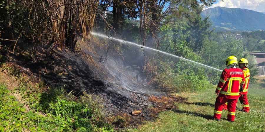 Brand Uetliburg