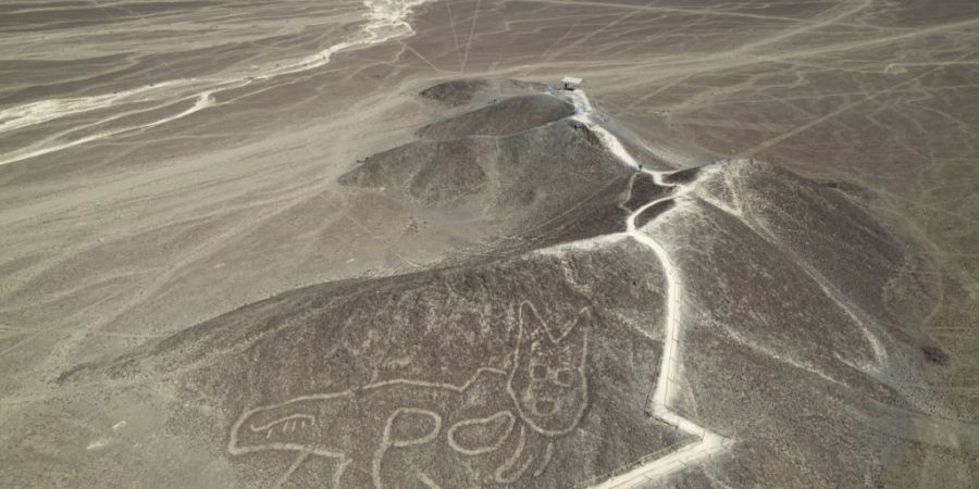 ARCHIV - Eine katzenähnliche Geoglyphe der Nazca-Linie ist von oben zu sehen. Foto: Martin Mejia/AP/dpa