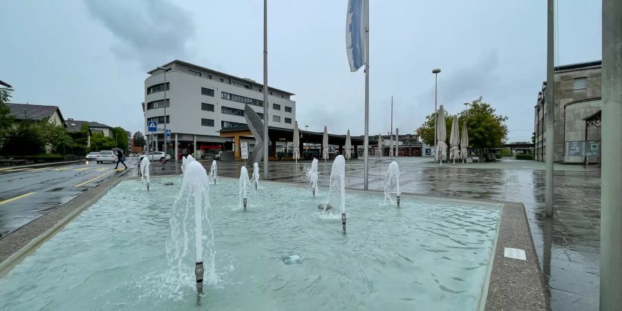 Dorfbrunnen Risch-Rotkreuz.