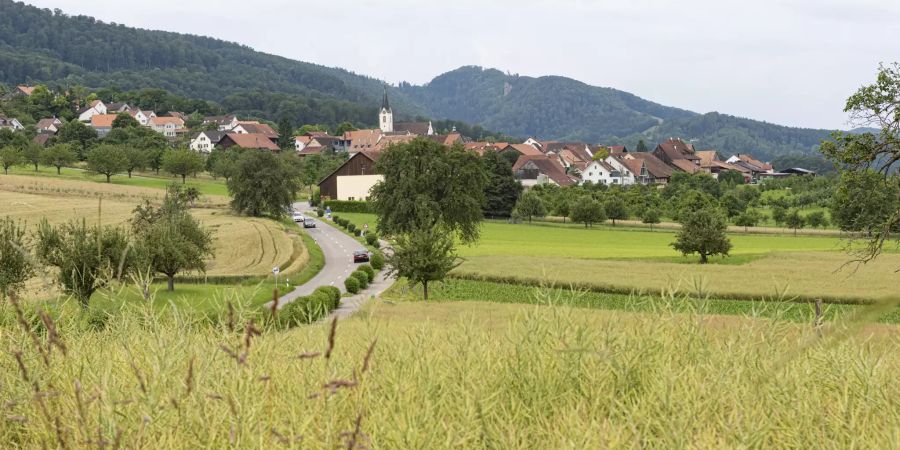 Die Gemeinde Metzerlen an der Strasse von Mariastein nach Laufen.