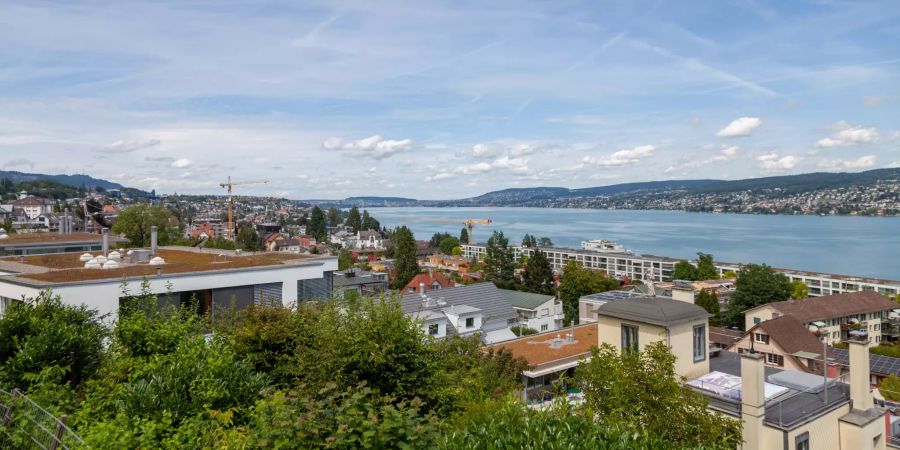 Aussicht vom Spielplatz Platte auf Thalwil und den Zürichsee.