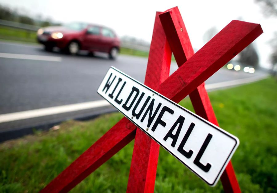 Wildunfall