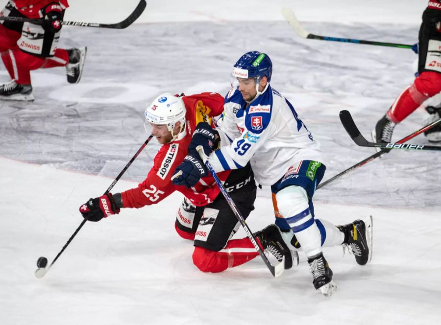 Schweiz Slowakei Deutschland Cup