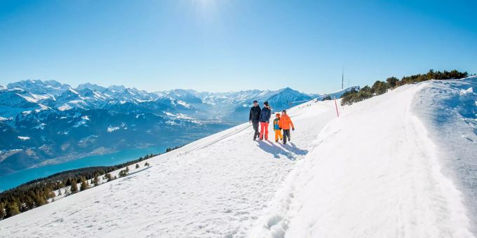 Blick vom Niederhorn auf den winterlichen Thunersee und die Berner Alpen. Ausflüge Winter Schweiz