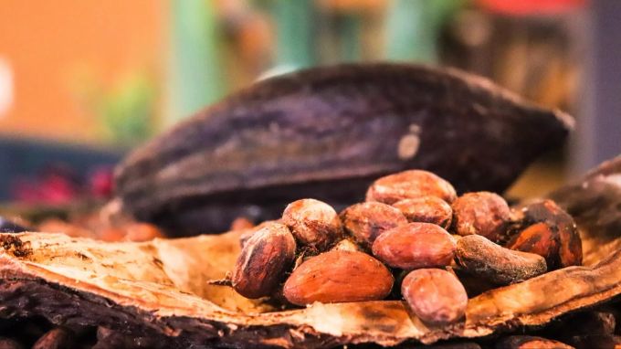 «Theobroma Cacao» taufte der Botaniker Carl von Linné 1734 die Kakaobohne, auf Deutsch: «Götterspeise Kakao». Das nicht zuletzt wegen den vielen positiven Eigenschaften, die man dem Kakao zuschrieb. Unter anderem sollte er nämlich verdauungsfördernd, anregend und sogar aphrodisierend wirken. Kakao
