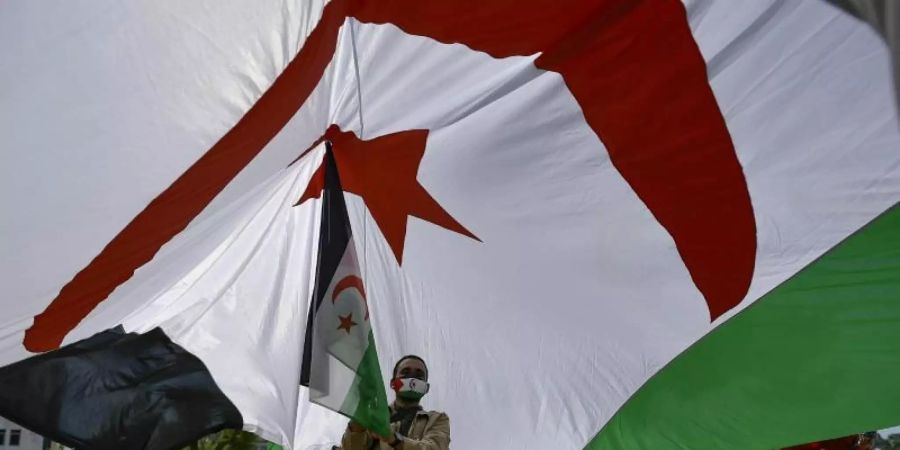 Ein saharischer Demonstrant hält eine Fahne der Republik Sahara. Symbolbild. Foto: Alvaro Barrientos/AP/dpa