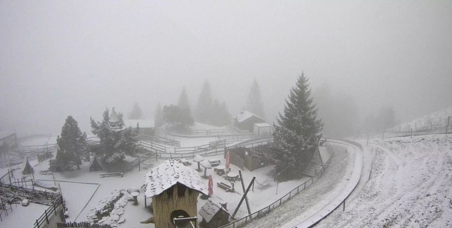 Auch im Kanton Nidwalden schneit es. Hier: die Luftseilbahn Dallenwil-Wirzweli.