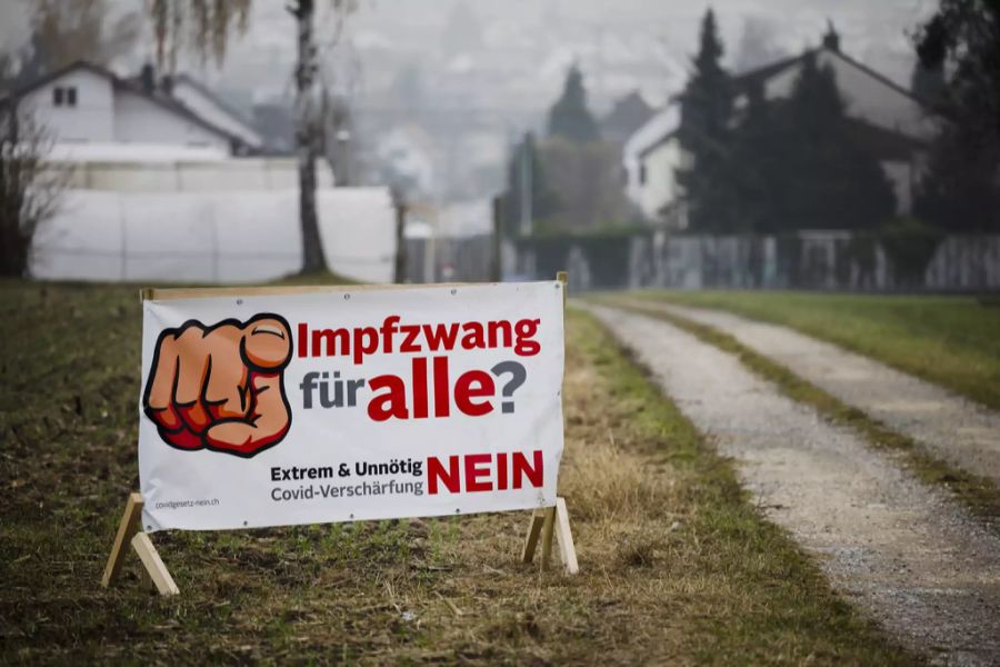 Ein Abstimmungsplakat gegen das Covid-19-Gesetz steht auf einer Wiese, am Freitag, 12. November 2021 in Seebach.